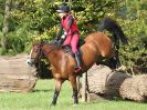Image 331 in BECCLES AND BUNGAY RC. HUNTER TRIAL 16. OCT. 2016