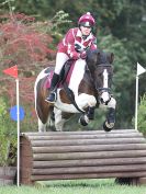 Image 40 in BECCLES AND BUNGAY RC. HUNTER TRIAL 16. OCT. 2016