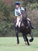 Image 52 in BECCLES AND BUNGAY RC. HUNTER TRIAL 16. OCT. 2016