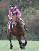 Image 87 in BECCLES AND BUNGAY RC. HUNTER TRIAL 16. OCT. 2016