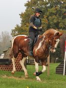 Image 115 in HALESWORTH & DISTRICT RC. CROSS COUNTRY TRAINING. 30 OCT. 2016.