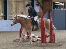 Image 113 in BECCLES AND BUNGAY RC. SHOW JUMPING 6 NOV. 2016