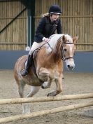 Image 114 in BECCLES AND BUNGAY RC. SHOW JUMPING 6 NOV. 2016