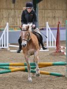 Image 115 in BECCLES AND BUNGAY RC. SHOW JUMPING 6 NOV. 2016