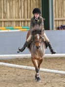 Image 134 in BECCLES AND BUNGAY RC. SHOW JUMPING 6 NOV. 2016