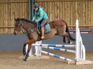 Image 14 in BECCLES AND BUNGAY RC. SHOW JUMPING 6 NOV. 2016