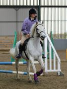 Image 142 in BECCLES AND BUNGAY RC. SHOW JUMPING 6 NOV. 2016