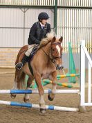 Image 158 in BECCLES AND BUNGAY RC. SHOW JUMPING 6 NOV. 2016