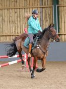 Image 16 in BECCLES AND BUNGAY RC. SHOW JUMPING 6 NOV. 2016