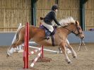 Image 171 in BECCLES AND BUNGAY RC. SHOW JUMPING 6 NOV. 2016