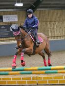 Image 193 in BECCLES AND BUNGAY RC. SHOW JUMPING 6 NOV. 2016