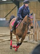 Image 194 in BECCLES AND BUNGAY RC. SHOW JUMPING 6 NOV. 2016