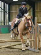 Image 201 in BECCLES AND BUNGAY RC. SHOW JUMPING 6 NOV. 2016