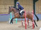 Image 208 in BECCLES AND BUNGAY RC. SHOW JUMPING 6 NOV. 2016