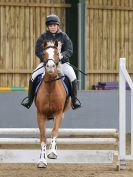 Image 221 in BECCLES AND BUNGAY RC. SHOW JUMPING 6 NOV. 2016