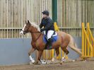 Image 224 in BECCLES AND BUNGAY RC. SHOW JUMPING 6 NOV. 2016