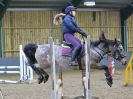 Image 237 in BECCLES AND BUNGAY RC. SHOW JUMPING 6 NOV. 2016