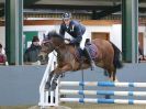 Image 246 in BECCLES AND BUNGAY RC. SHOW JUMPING 6 NOV. 2016