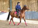 Image 256 in BECCLES AND BUNGAY RC. SHOW JUMPING 6 NOV. 2016
