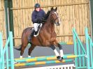 Image 263 in BECCLES AND BUNGAY RC. SHOW JUMPING 6 NOV. 2016