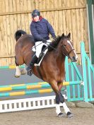 Image 264 in BECCLES AND BUNGAY RC. SHOW JUMPING 6 NOV. 2016