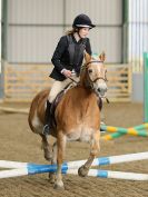 Image 28 in BECCLES AND BUNGAY RC. SHOW JUMPING 6 NOV. 2016