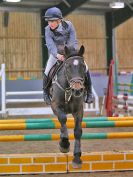 Image 298 in BECCLES AND BUNGAY RC. SHOW JUMPING 6 NOV. 2016