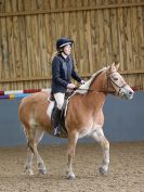 Image 30 in BECCLES AND BUNGAY RC. SHOW JUMPING 6 NOV. 2016