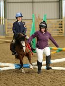 Image 31 in BECCLES AND BUNGAY RC. SHOW JUMPING 6 NOV. 2016