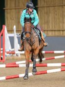 Image 4 in BECCLES AND BUNGAY RC. SHOW JUMPING 6 NOV. 2016