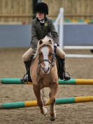 Image 88 in BECCLES AND BUNGAY RC. SHOW JUMPING 6 NOV. 2016