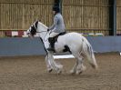 Image 113 in BECCLES AND BUNGAY RC. DRESSAGE 27 NOV. 2016. CLASSES 1, 2A, 2B AND 3. CLASSES 4 AND 5 NOT COVERED DUE TO POOR LIGHT.