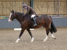 Image 139 in BECCLES AND BUNGAY RC. DRESSAGE 27 NOV. 2016. CLASSES 1, 2A, 2B AND 3. CLASSES 4 AND 5 NOT COVERED DUE TO POOR LIGHT.