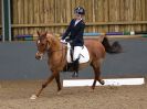 Image 145 in BECCLES AND BUNGAY RC. DRESSAGE 27 NOV. 2016. CLASSES 1, 2A, 2B AND 3. CLASSES 4 AND 5 NOT COVERED DUE TO POOR LIGHT.