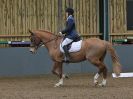 Image 166 in BECCLES AND BUNGAY RC. DRESSAGE 27 NOV. 2016. CLASSES 1, 2A, 2B AND 3. CLASSES 4 AND 5 NOT COVERED DUE TO POOR LIGHT.