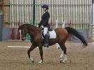 Image 173 in BECCLES AND BUNGAY RC. DRESSAGE 27 NOV. 2016. CLASSES 1, 2A, 2B AND 3. CLASSES 4 AND 5 NOT COVERED DUE TO POOR LIGHT.