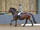 Image 204 in BECCLES AND BUNGAY RC. DRESSAGE 27 NOV. 2016. CLASSES 1, 2A, 2B AND 3. CLASSES 4 AND 5 NOT COVERED DUE TO POOR LIGHT.