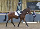 Image 230 in BECCLES AND BUNGAY RC. DRESSAGE 27 NOV. 2016. CLASSES 1, 2A, 2B AND 3. CLASSES 4 AND 5 NOT COVERED DUE TO POOR LIGHT.