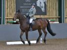 Image 248 in BECCLES AND BUNGAY RC. DRESSAGE 27 NOV. 2016. CLASSES 1, 2A, 2B AND 3. CLASSES 4 AND 5 NOT COVERED DUE TO POOR LIGHT.