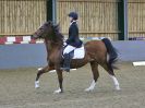 Image 251 in BECCLES AND BUNGAY RC. DRESSAGE 27 NOV. 2016. CLASSES 1, 2A, 2B AND 3. CLASSES 4 AND 5 NOT COVERED DUE TO POOR LIGHT.
