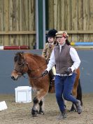 Image 87 in BECCLES AND BUNGAY RC. DRESSAGE 27 NOV. 2016. CLASSES 1, 2A, 2B AND 3. CLASSES 4 AND 5 NOT COVERED DUE TO POOR LIGHT.