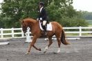 Image 25 in EASTERN COUNTY DRESSAGE CHALLENGE JUNE 2013