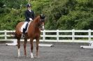 Image 32 in EASTERN COUNTY DRESSAGE CHALLENGE JUNE 2013