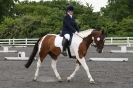 Image 48 in EASTERN COUNTY DRESSAGE CHALLENGE JUNE 2013