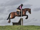 Image 45 in ISLEHAM EVENTING 4 MAR 2017