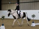 Image 24 in HALESWORTH AND DISTRICT RC. DRESSAGE. 11 MARCH 2017