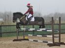 Image 14 in DEBEN RIDING CLUB XMAS SHOW JUMPING. CLASS 6