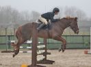 Image 13 in DEBEN RIDING CLUB. XMAS SHOW JUMPING. 10 DEC. 2016. CLASS 5.