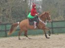 Image 9 in DEBEN RIDING CLUB. XMAS SHOW JUMPING. 10 DEC. 2016. CLASS 5.