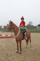 Image 100 in DEBEN RIDING CLUB XMAS SHOW JUMPING. CLASS 4